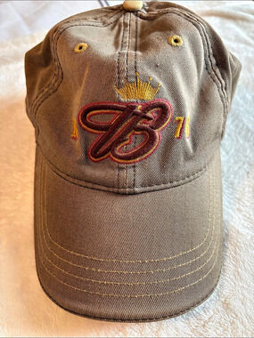 Anheuser-Busch Embroidered Baseball Cap in Brown